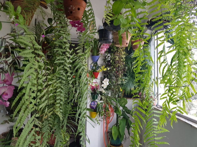 Apartamento à venda Jardim Ampliação com 83m² e 3 quartos por R$ 390.000 - 1162221475-whatsapp-image-2020-06-21-at-15.jpeg