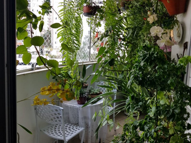 Apartamento à venda Jardim Ampliação com 83m² e 3 quartos por R$ 390.000 - 1723993083-whatsapp-image-2020-06-21-at-15.jpeg