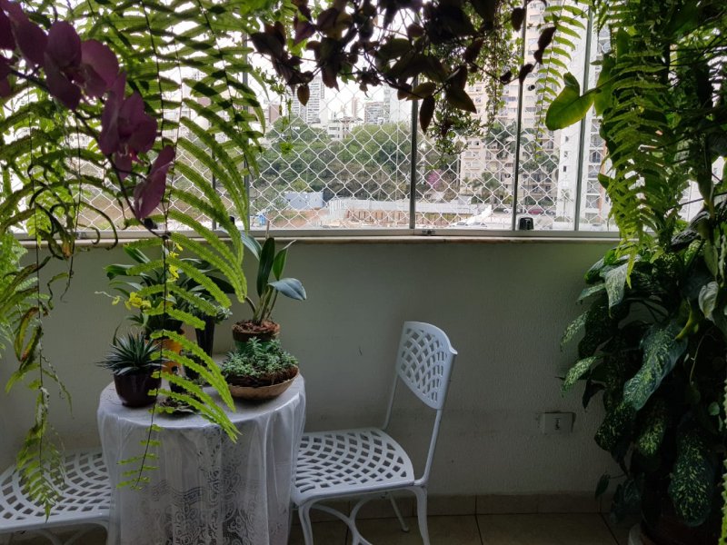 Apartamento à venda Jardim Ampliação com 83m² e 3 quartos por R$ 390.000 - 1841772620-whatsapp-image-2020-06-21-at-15.jpeg