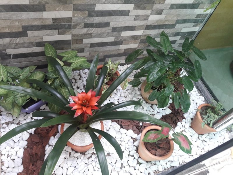 Casa de condomínio à venda Tarumã com 250m² e 3 quartos por R$ 550.000 - 33847602-img-20180716-wa0035.jpg