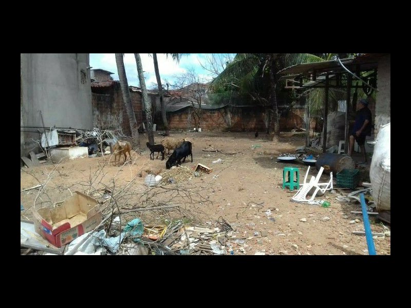 Terreno à venda Cidade Nova com 1730m² e  quartos por R$ 70.000 - 1229343961-0110be1d-3bea-4b8f-a9c5-b71b487078be.jpg