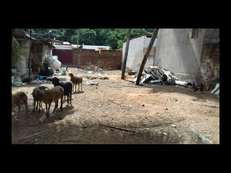 Terreno à venda Cidade Nova com 1730m² e  quartos por R$ 70.000 - 153231261-5b92d6cd-89ae-4b3e-b6ee-8951f0549672.jpg