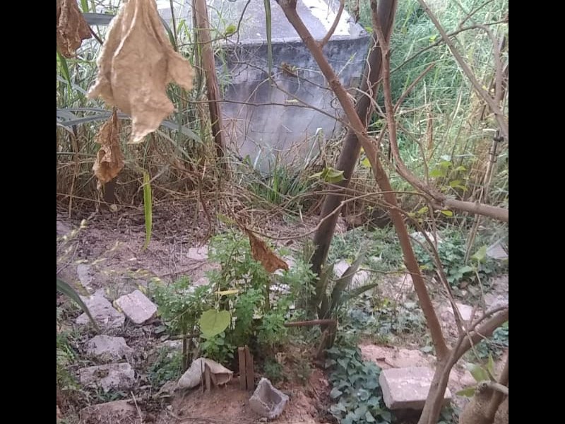 Casa à venda Estância Lago Azul com 65m² e 2 quartos por R$ 170.000 - 625166264-whatsapp-image-2020-06-22-at-16.jpeg