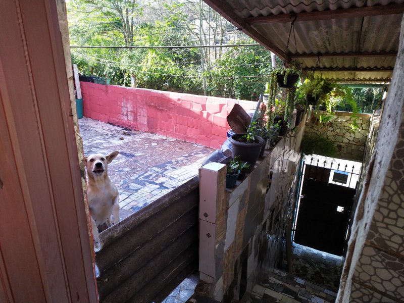Casa à venda Aliança com 229m² e 7 quartos por R$ 450.000 - 1375047375-img-20200621-083533.jpg