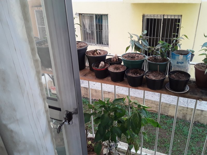 Apartamento à venda Jardim Dayse com 60m² e 2 quartos por R$ 178.000 - 1098409818-20200527-154003.jpg