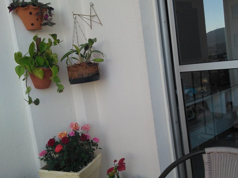 Apartamento à venda Vila Amélia com 74m² e 2 quartos por R$ 390.000 - 626865770-img-20200621-163709451.jpg