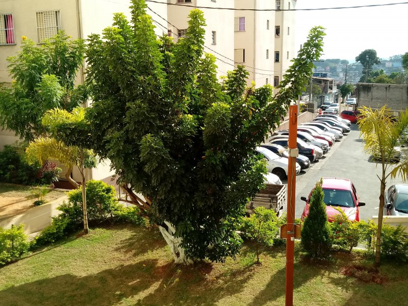 imóvel com 52m² - Jardim Dom José - São Paulo