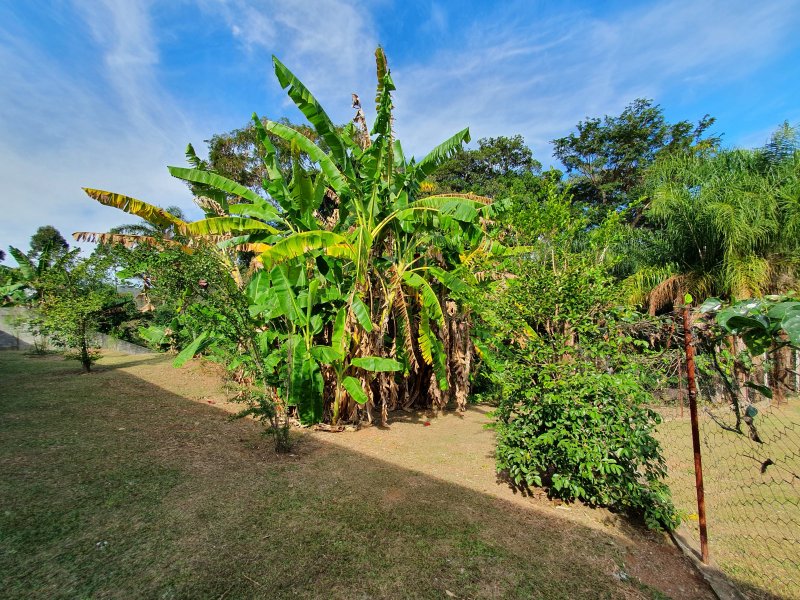 Casa à venda Chácara Malota com 653m² e 5 quartos por R$ 3.500.000 - 129068131-20200623-104920.jpg