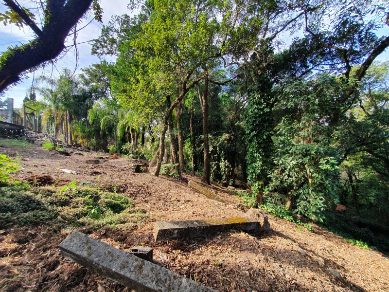 Casa de condomínio à venda Chácara Malota com 6000m² e 4 quartos por R$ 3.500.000 - 1179723417-20200623-105447.jpg