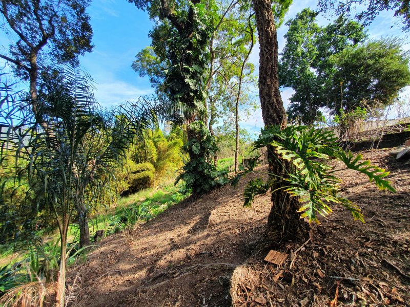 Casa de condomínio à venda Chácara Malota com 6000m² e 4 quartos por R$ 3.500.000 - 1845193999-20200623-105518.jpg