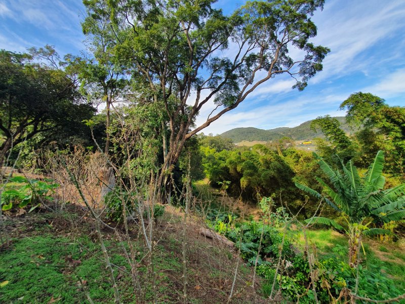 Casa de condomínio à venda Chácara Malota com 6000m² e 4 quartos por R$ 3.500.000 - 919761508-20200623-105330.jpg