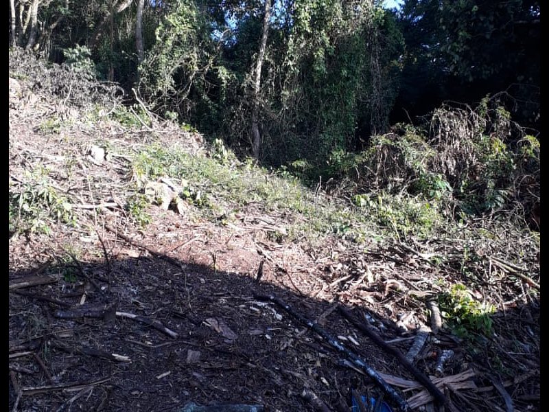 Terreno à venda Parque Nova Jandira com 350m² e  quartos por R$ 235.000 - 1985747222-whatsapp-image-2020-06-25-at-13.jpeg