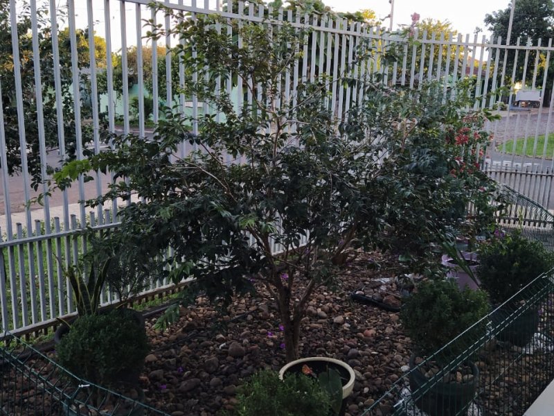 Casa à venda Jardim Panorama com 85m² e 2 quartos por R$ 345.000 - 38369562-photo-2020-06-24-16-21-07-3.jpg