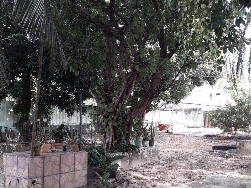 Casa à venda Japiim 2 com 2m² e 2 quartos por R$ 700.000 - 1707856767-1341a66c-4195-4c03-815d-4da42034cbf2.jpg