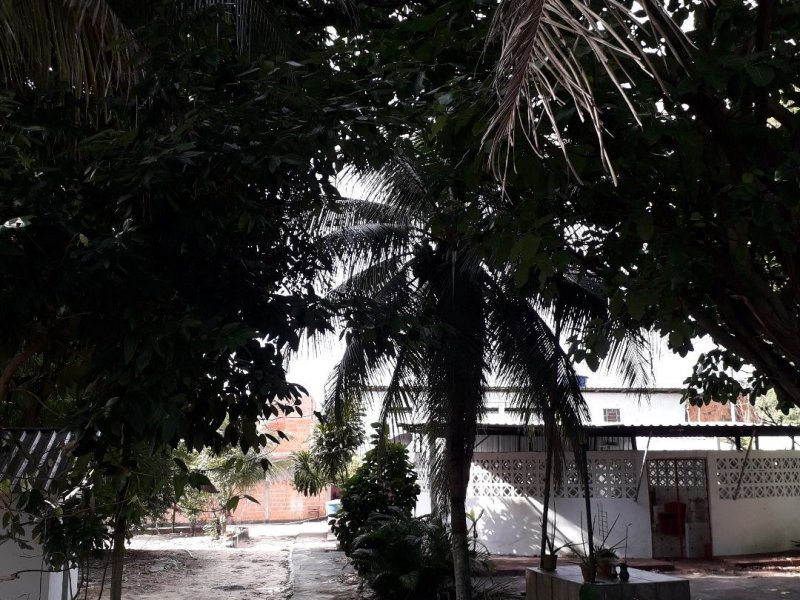 Casa à venda Japiim 2 com 2m² e 2 quartos por R$ 700.000 - 1909299812-c306164e-63a8-4a44-bcb7-bd57e771fb2e.jpg