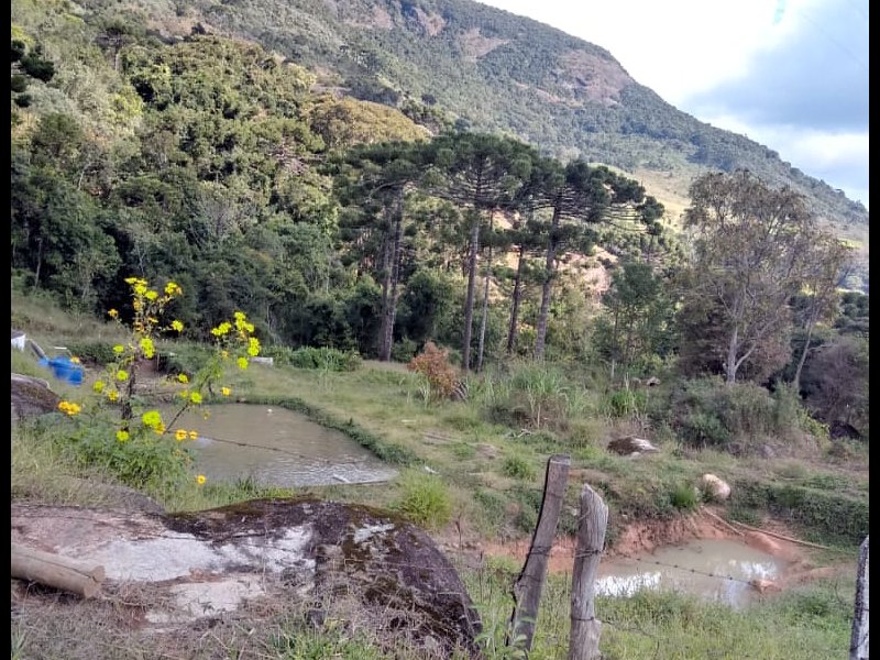 Apartamento à venda Fazenda Velha  com 3000m² e 1 quarto por R$ 180.000 - 1940907659-whatsapp-image-2020-06-25-at-09.jpeg