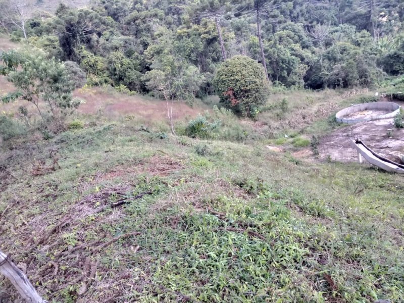 Apartamento à venda Fazenda Velha  com 3000m² e 1 quarto por R$ 180.000 - 523777249-whatsapp-image-2020-06-25-at-09.jpeg
