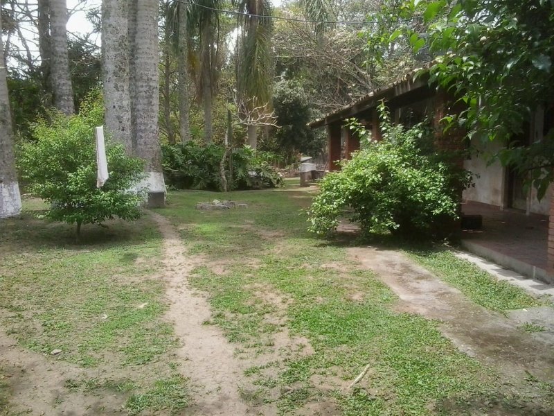 Sítio à venda Campininha com 14m² e 8 quartos por R$ 500.000 - 1344613592-img-20200625-wa0159.jpg