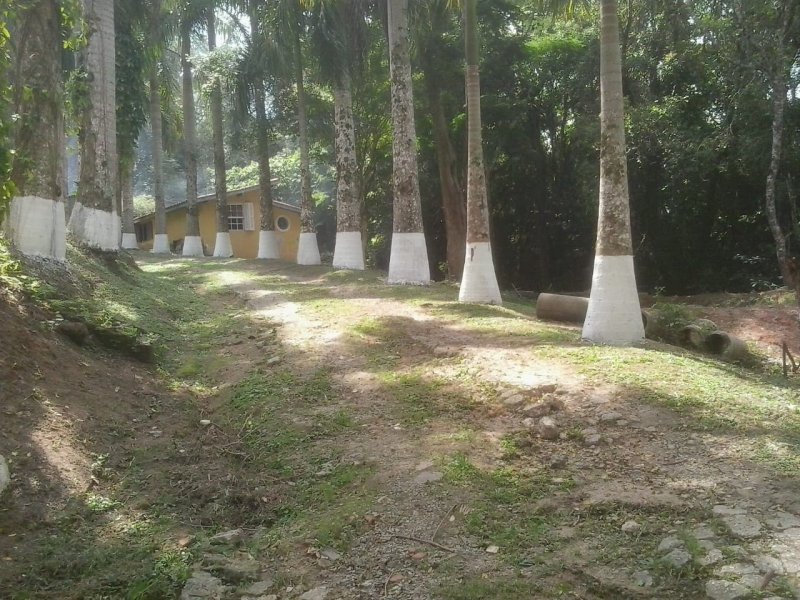 Sítio à venda Campininha com 14m² e 8 quartos por R$ 500.000 - 1386964952-img-20200625-wa0165.jpg