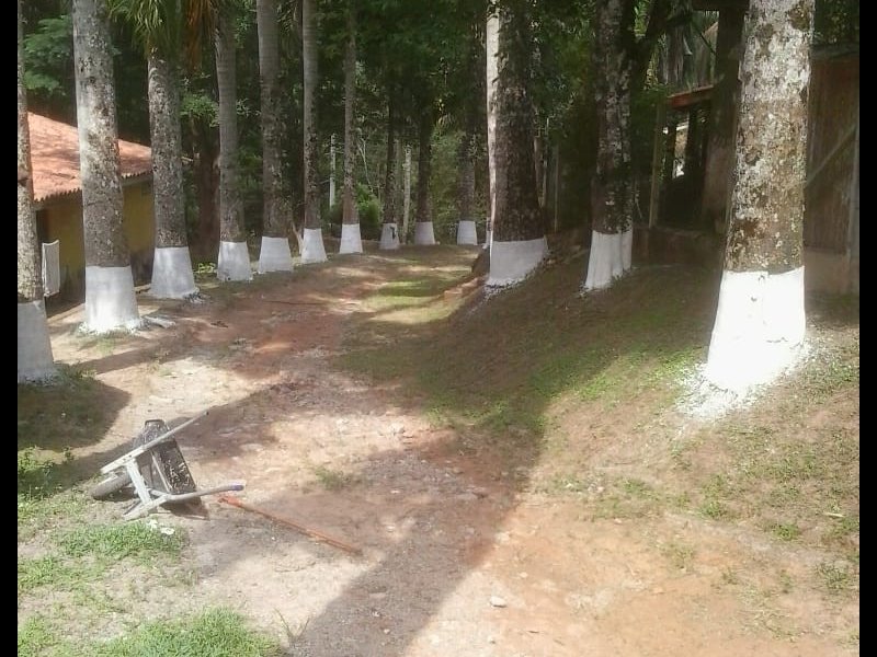Sítio à venda Campininha com 14m² e 8 quartos por R$ 500.000 - 604804787-img-20200625-wa0171.jpg