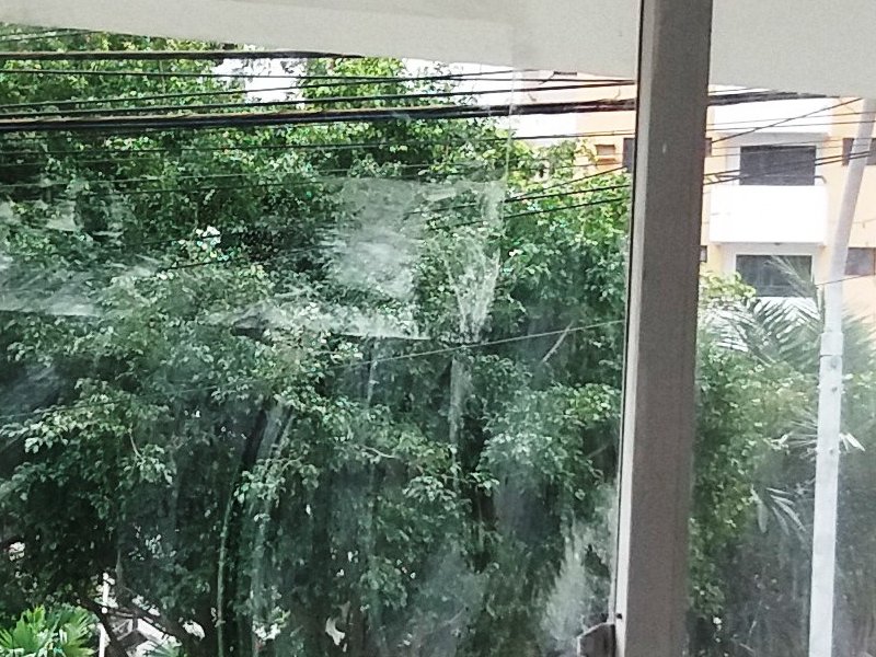 Comercial à venda Pituba com 21m² e  quartos por R$ 110.000 - 1617900259-l15-8.jpg