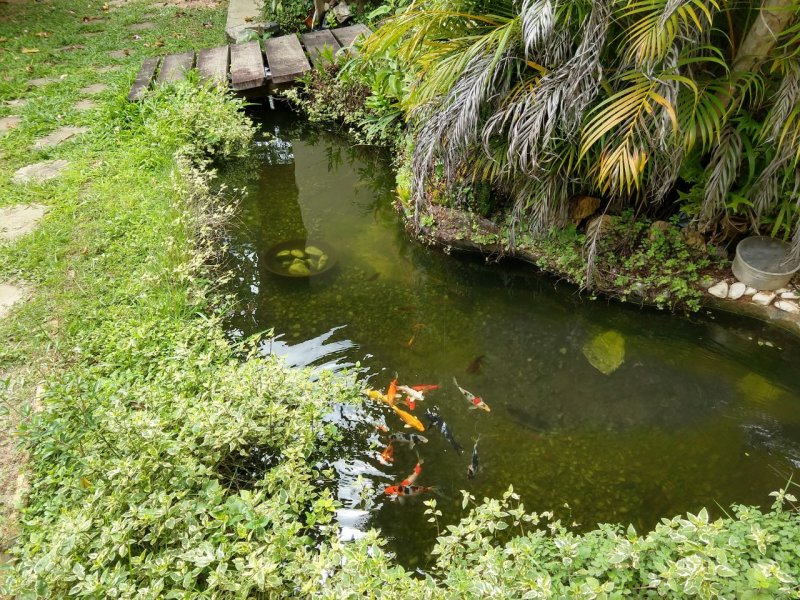 imóvel com 750m² - Ponta Negra - Natal