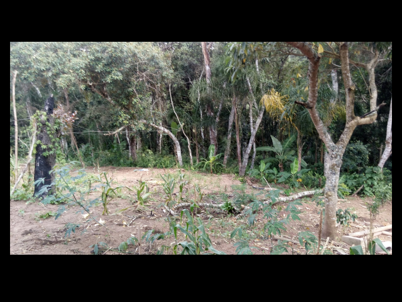 Apartamento à venda Jardim Palestina com 5000m² e 3 quartos por R$ 600.000 - 1052139704-screenshot-20200626-122947.png