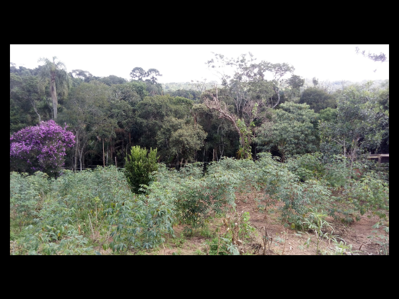 Apartamento à venda Jardim Palestina com 5000m² e 3 quartos por R$ 600.000 - 2028788275-screenshot-20200626-122504.png