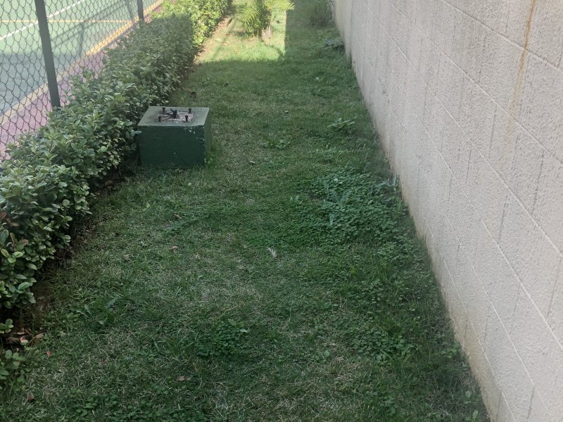 Apartamento à venda Conjunto Residencial Pombeva com 56m² e 2 quartos por R$ 260.000 - 1112918566-f53c406c-d986-4658-ba75-ec99bb516d06.jpeg
