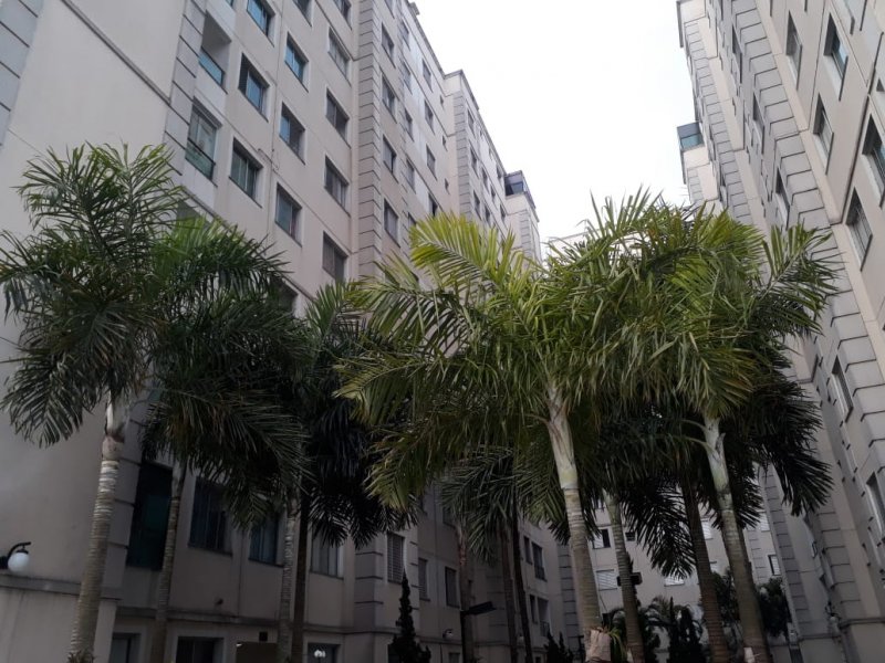 Apartamento à venda Jardim Santa Teresinha com 44m² e 2 quartos por R$ 230.000 - 457104565-whatsapp-image-2020-06-27-at-11.jpeg