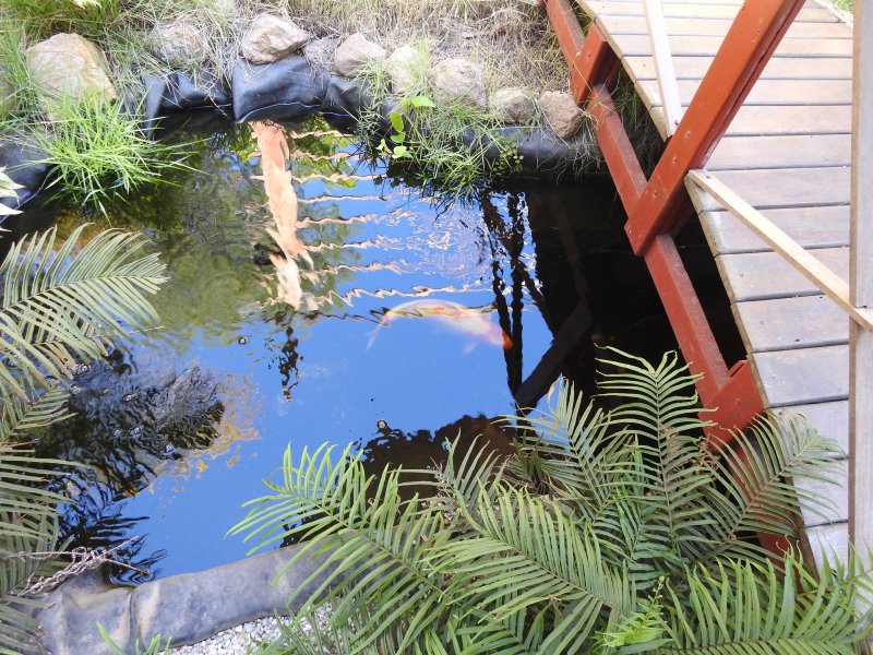 Comercial à venda Boa Vista com 440m² e 1 quarto por R$ 900.000 - laguinho.jpg