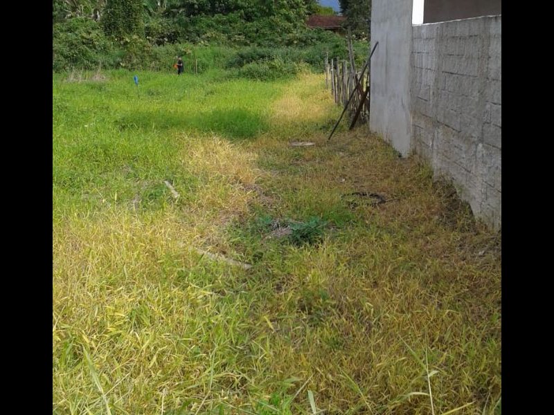 Terreno à venda Morro do Algodão com 710m² e  quartos por R$ 120.000 - 1675839833-c1ce6c16-fd5a-43ed-9eea-2f3eca3d478f.jpg
