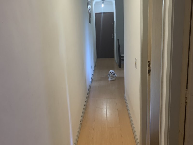 Apartamento à venda Parque São Domingos com 56m² e 2 quartos por R$ 280.000 - 1506692084-cd908f2c-8c06-49b5-b699-48a562b5763e.jpeg