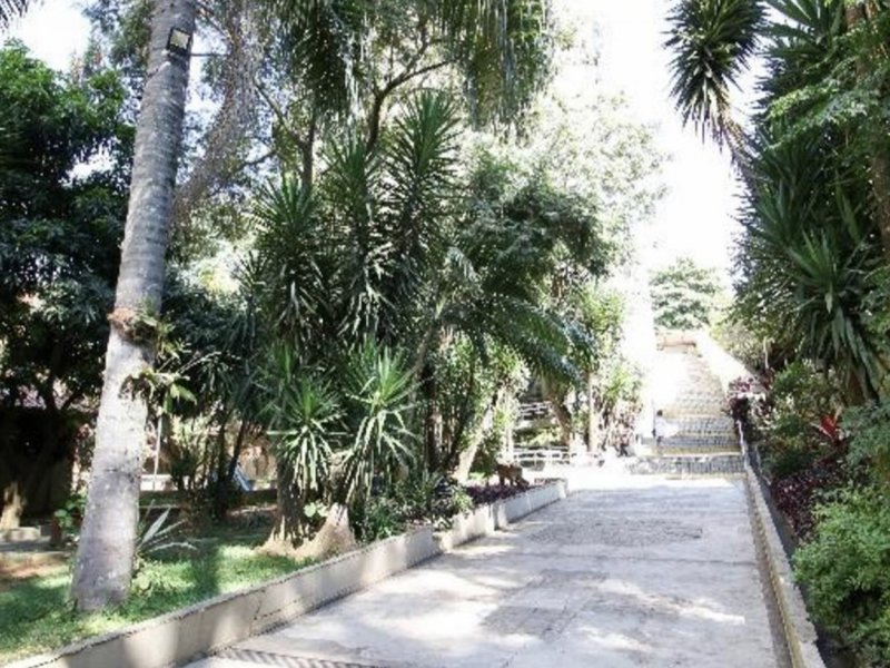 Apartamento à venda Parque São Domingos com 56m² e 2 quartos por R$ 280.000 - 812423746-d84117f7-8b53-4212-8d09-c1e8bf5eb641.jpeg