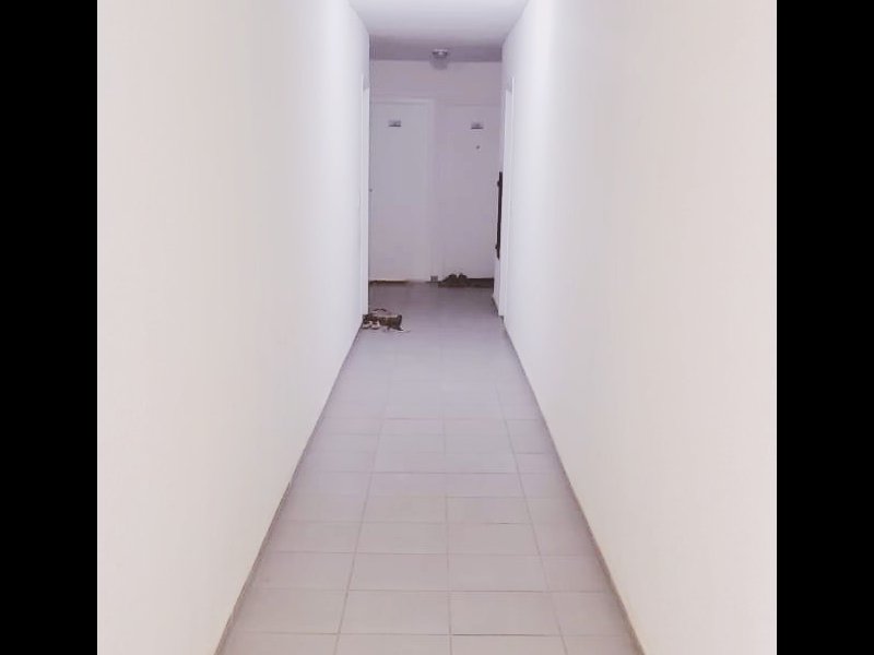 Apartamento para alugar Campo Grande com 44m² e 2 quartos por R$ 1.200 - 593017379-picsart-06-27-06.jpg