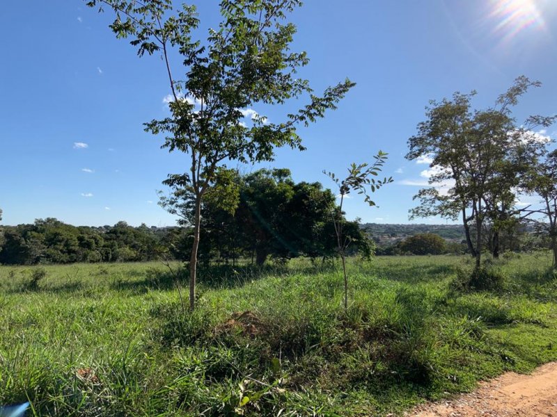 Chácara à venda Centro com 290m² e 2 quartos por R$ 6.079.500 - 1730537352-whatsapp-image-2020-06-29-at-14.jpeg