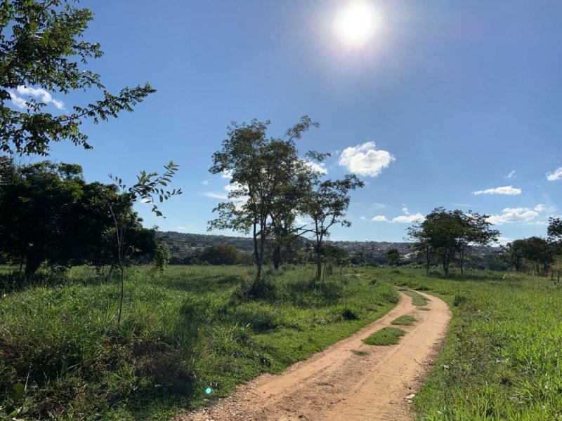 Chácara à venda Centro com 290m² e 2 quartos por R$ 6.079.500 - 2073536801-whatsapp-image-2020-06-29-at-14.jpeg