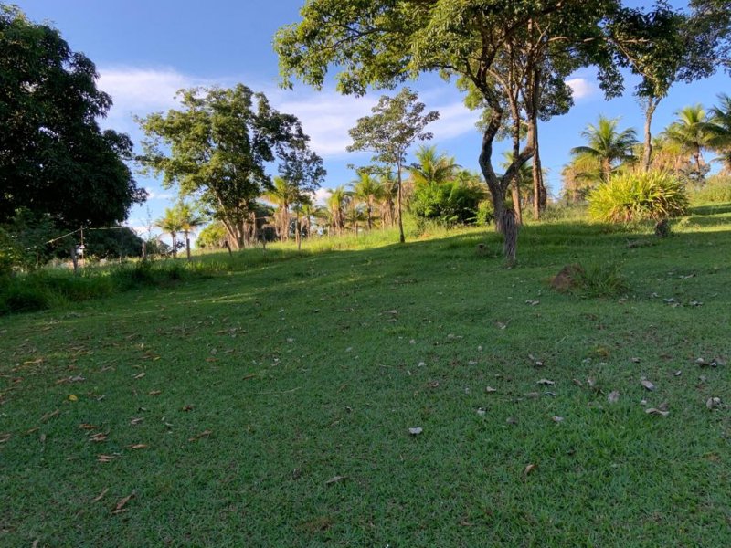 Chácara à venda Centro com 290m² e 2 quartos por R$ 6.079.500 - 307383041-whatsapp-image-2020-06-29-at-14.jpeg