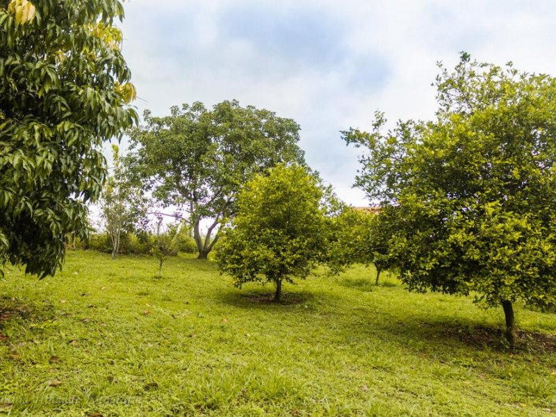 imóvel com 5000m² - CHÁCARAS PRIMAVERA - São Pedro