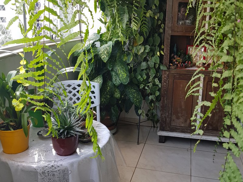 Apartamento à venda Jardim Parque Morumbi com 48m² e 2 quartos por R$ 210.000 - 1576327032-varanda-11.jpg