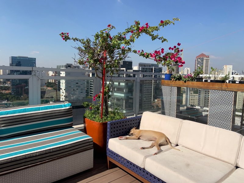 imóvel com 220m² - Vila Olímpia - São Paulo