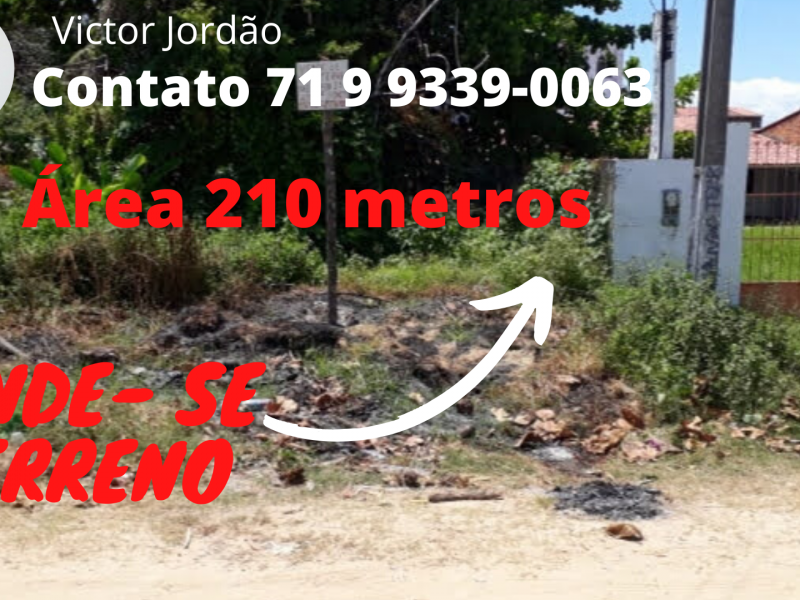 Terreno à venda Cabuçu com 210m² e  quartos por R$ 57.000.000 - 637023080-verde-floral-anuncio-de-casamento-foto-de-capa-de-evento-do-facebook.png