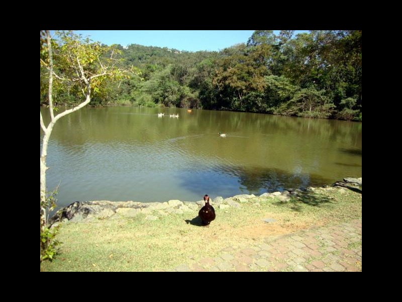 Terreno à venda Transurb com 300m² e  quartos por R$ 150.000 - 748424327-8.jpg