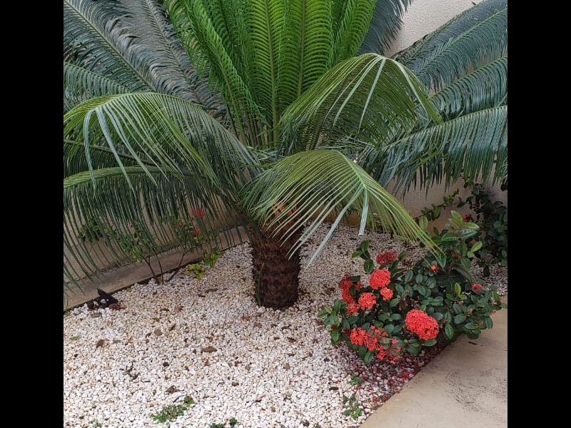 Apartamento à venda Parque Universitario com 60m² e 3 quartos por R$ 220.000 - 649504613-img-20200702-wa0065.jpg