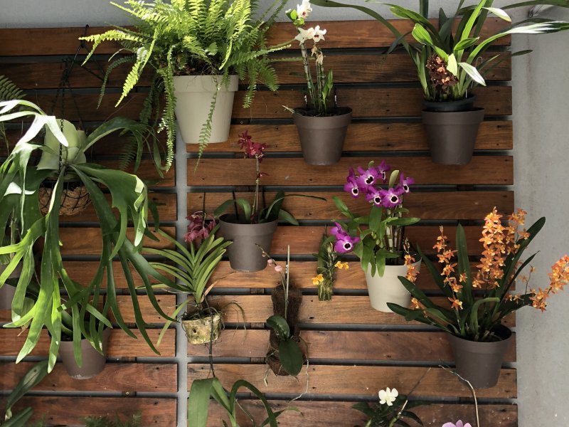 imóvel com 225m² - Jardim Satélite - Sao Jose dos Campos