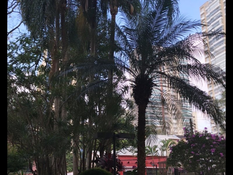 imóvel com 50m² - Pompéia - São Paulo