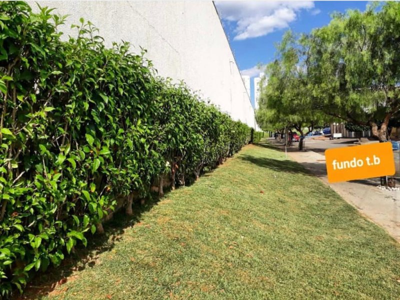 Apartamento à venda Parque Amazonia com 62m² e 2 quartos por R$ 250.000 - 675876635-whatsapp-image-2020-07-05-at-11.jpeg