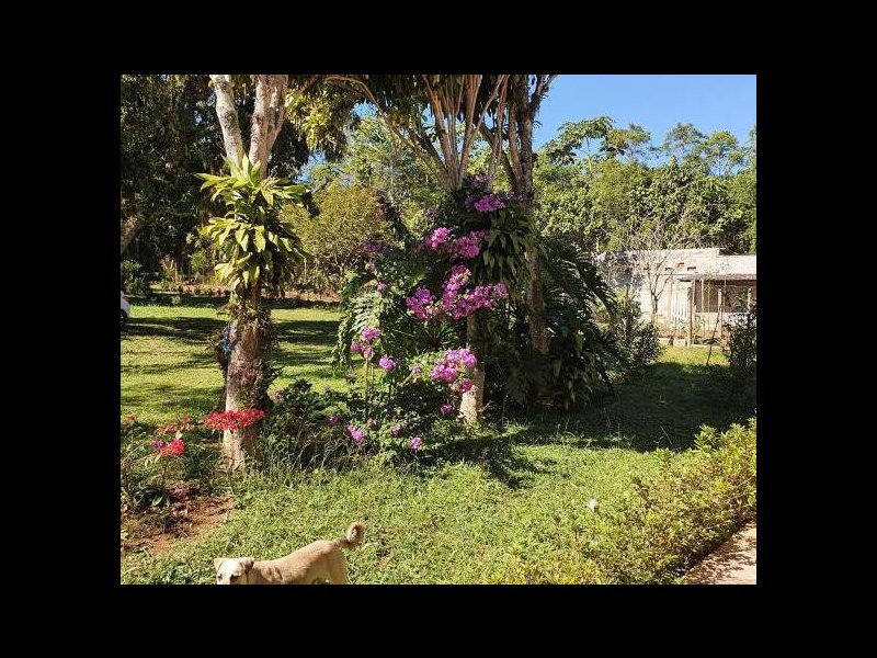 Chácara à venda Cipó do Meio com 5900m² e 5 quartos por R$ 315.000 - 186995611-1951467460.jpg