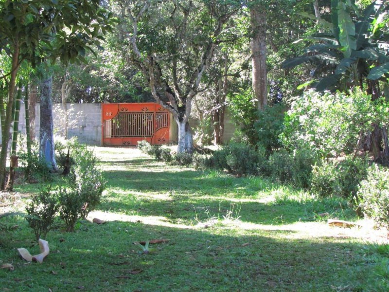Chácara à venda Cipó do Meio com 5900m² e 5 quartos por R$ 315.000 - 565005897-1950644074.jpg