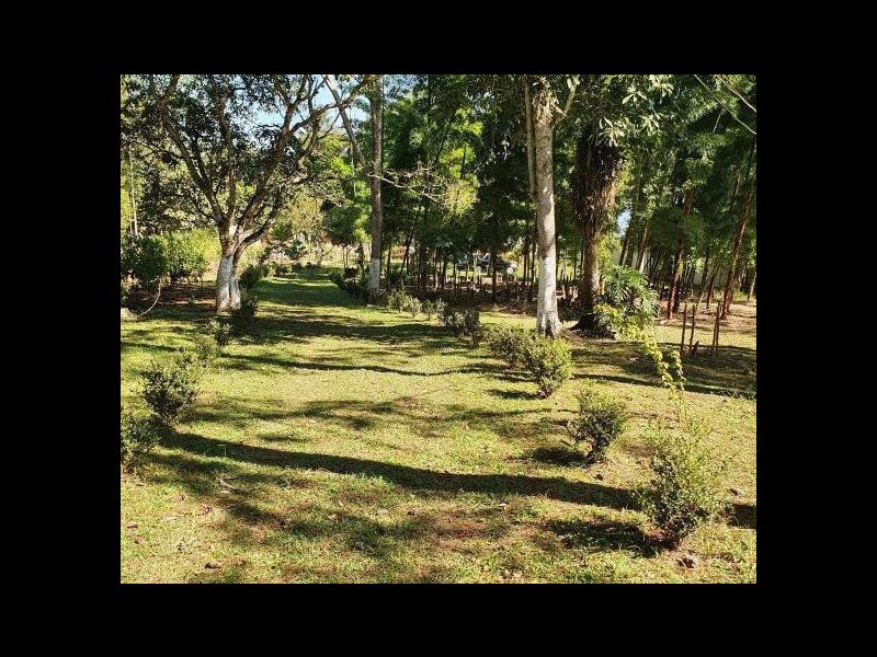 Chácara à venda Cipó do Meio com 5900m² e 5 quartos por R$ 315.000 - 890990512-1951467449.jpg